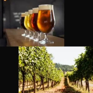 beer and wine in Grass Valley