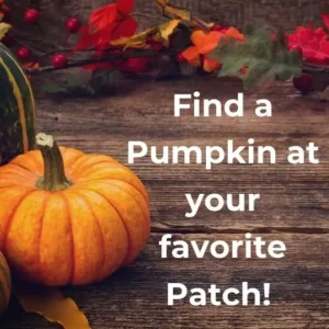 Find a Pumpkin at your favorite Patch!
