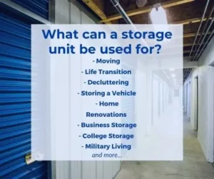 How to Keep Mice Out of Your Storage Unit - Shield Storage